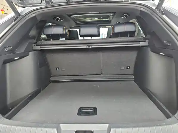 BYD Song PLUS New Energy 2023