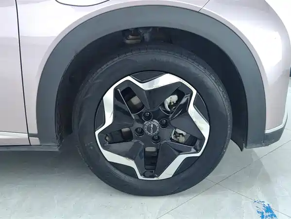 BYD Dolphin 2021
