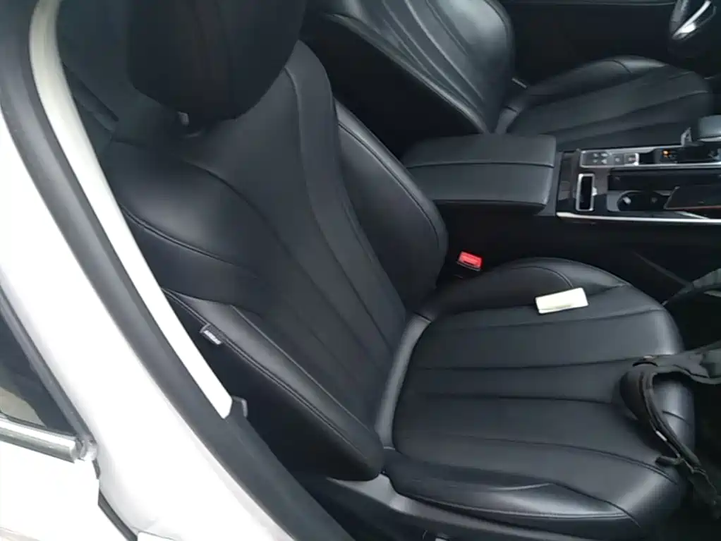 Roewe RX5 eMAX 2020 — фото 25