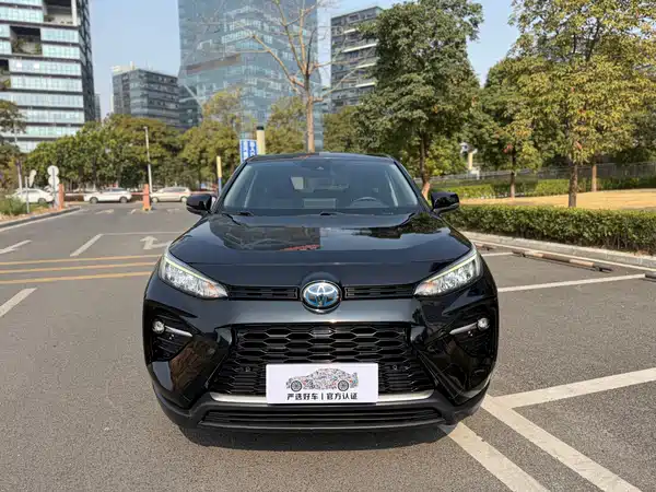 Toyota Wildlander 2021