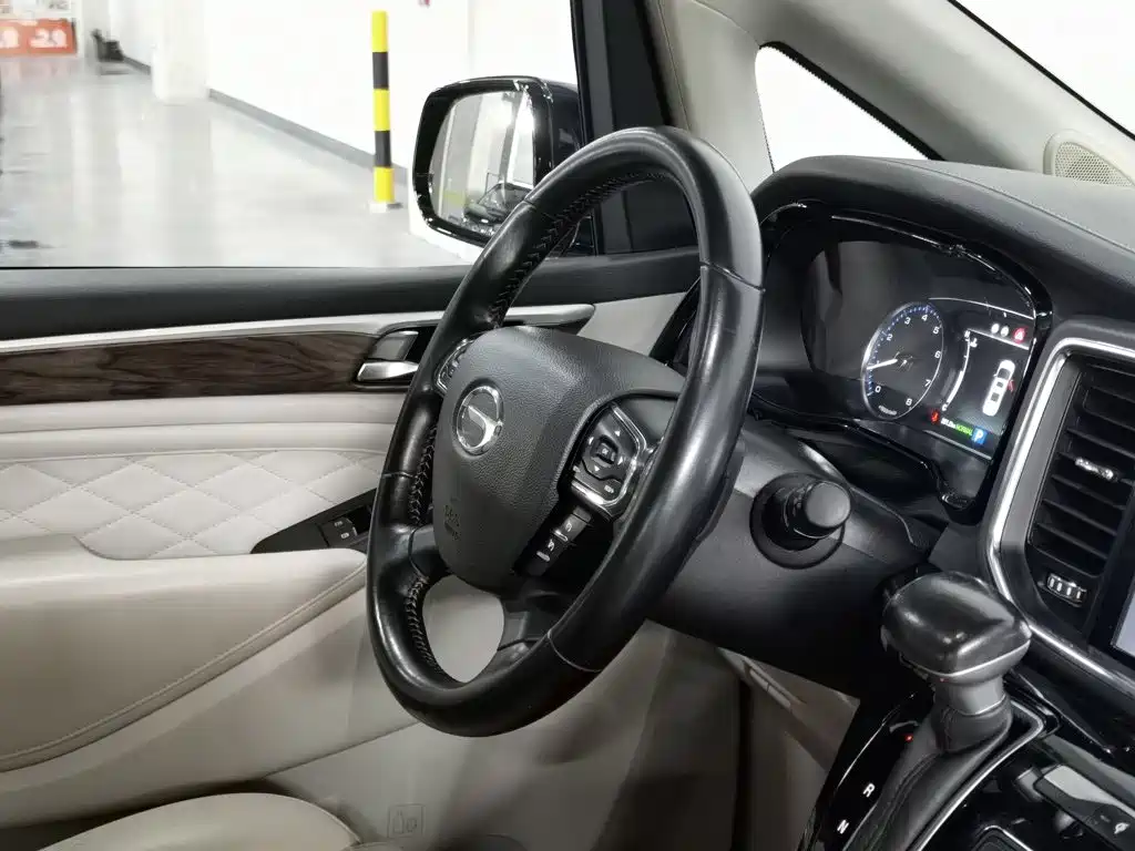 GAC Trumpchi M8 2020 — фото 22