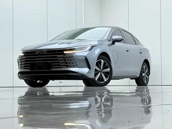 BYD Destroyer 05 2024