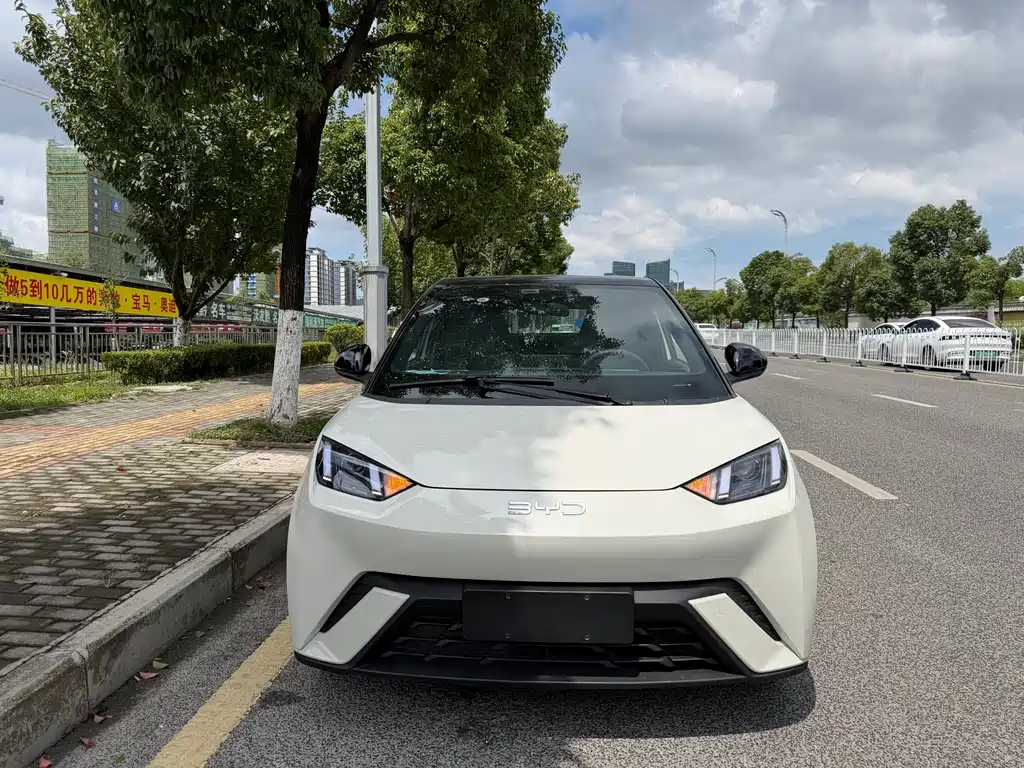 BYD Seagull 2024