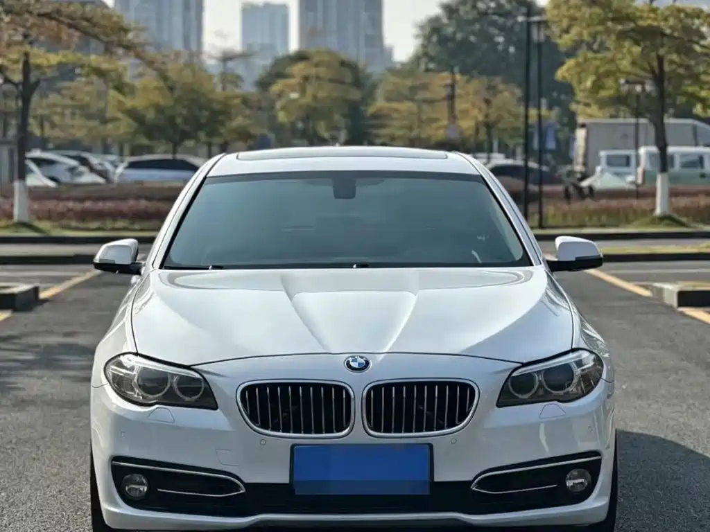BMW 5 Series 2014 — фото 3