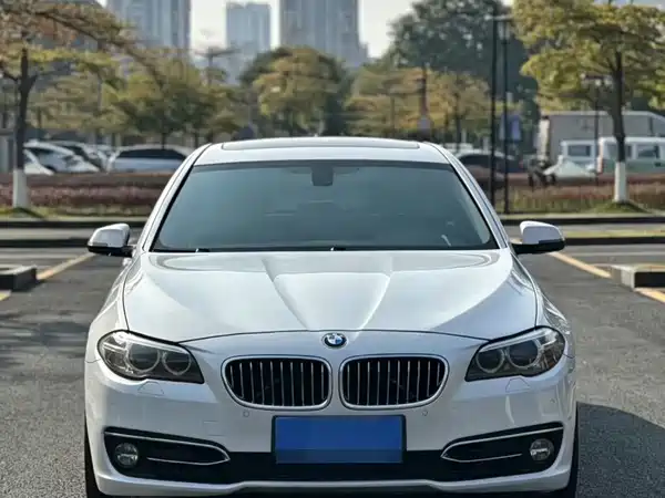BMW 5 Series 2014