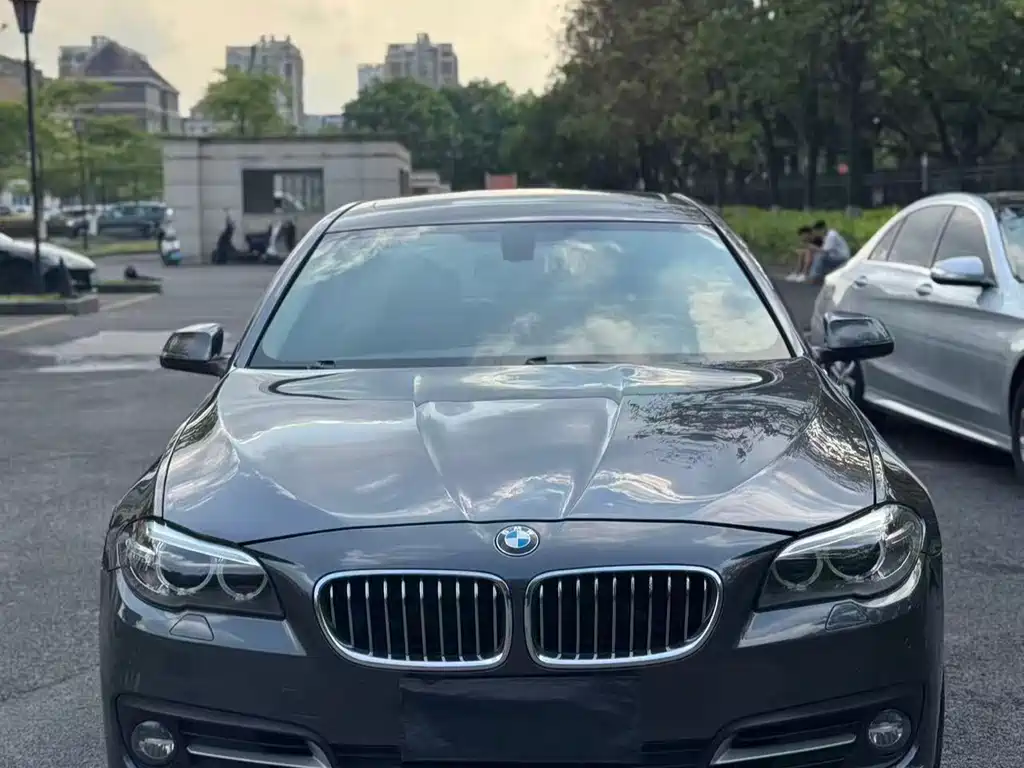 BMW 5 Series 2014 — фото 2