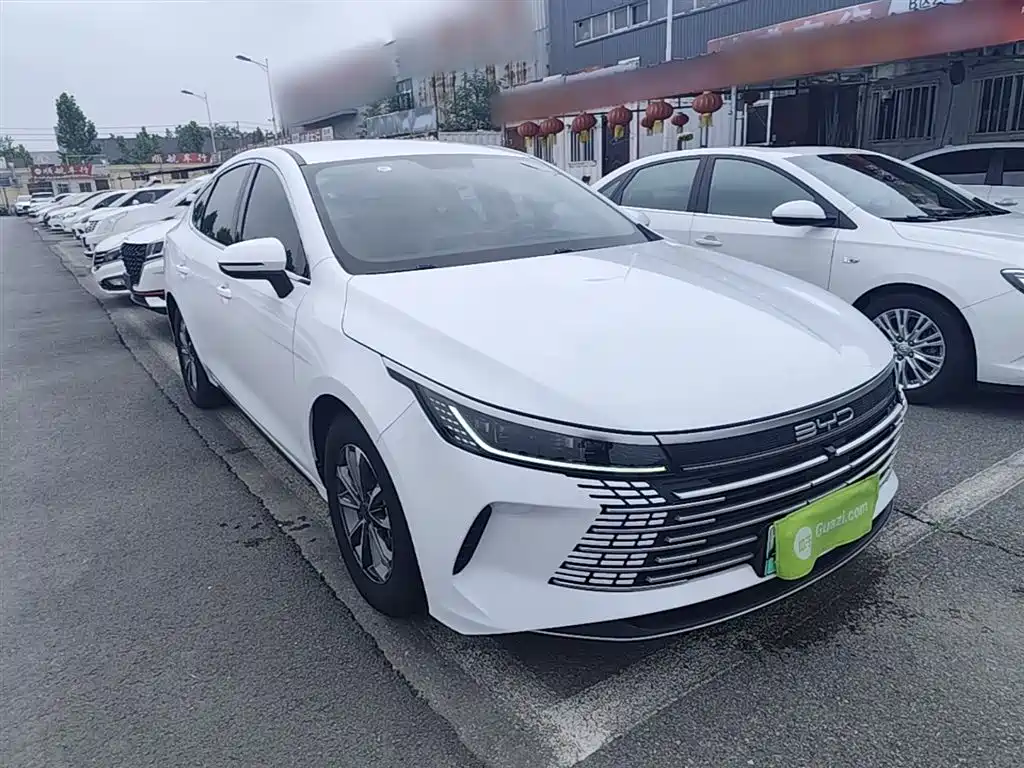 BYD Destroyer 05 2023 — фото 4