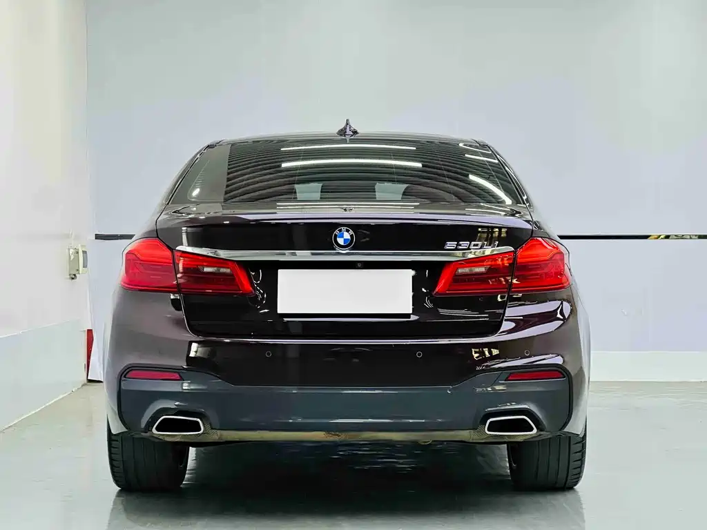 BMW 5 Series 2019 — фото 5