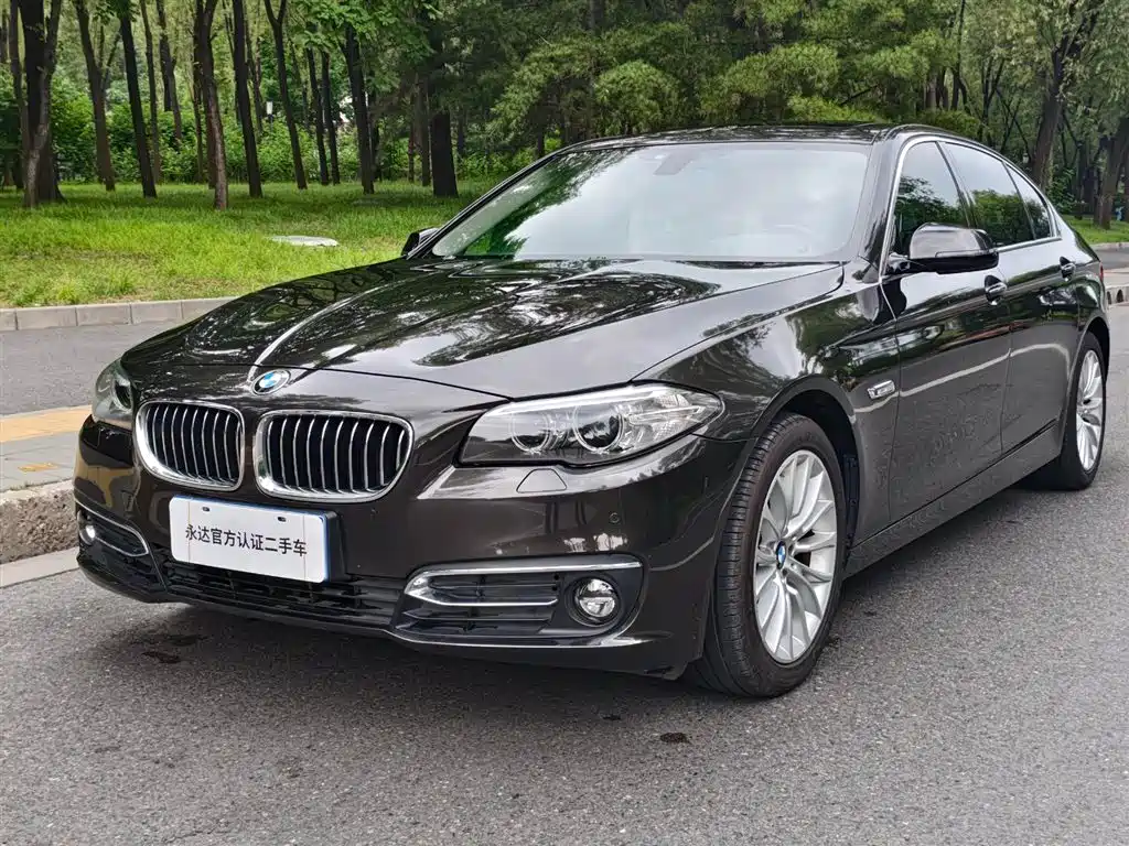 BMW 5 Series 2016