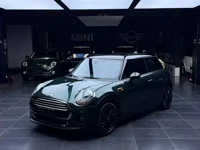 MINI MINI 2017