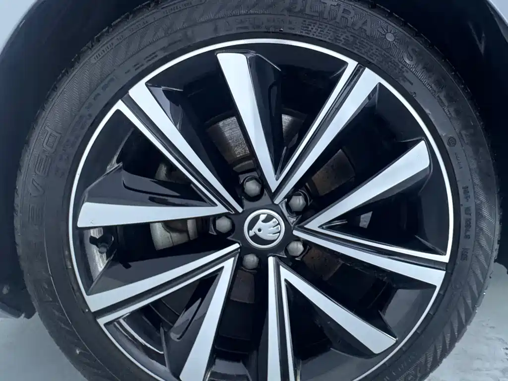 Skoda Speedy 2023 — фото 25