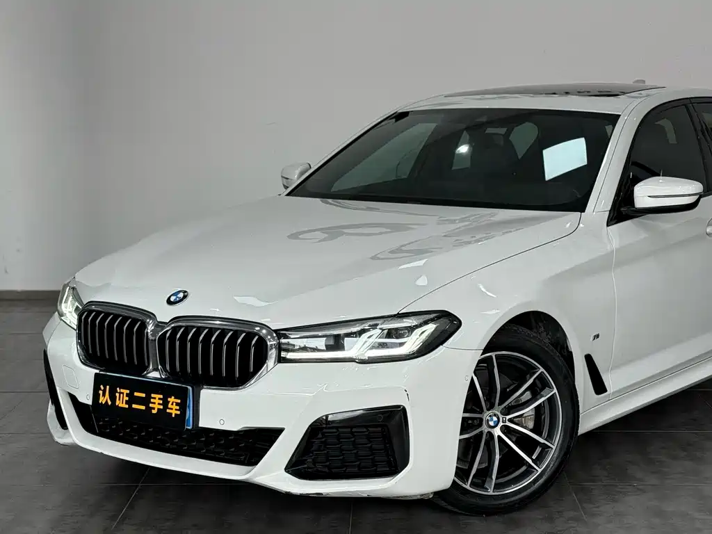 BMW 5 Series 2021 — фото 18