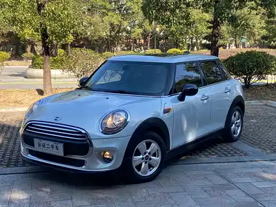 MINI MINI 2015