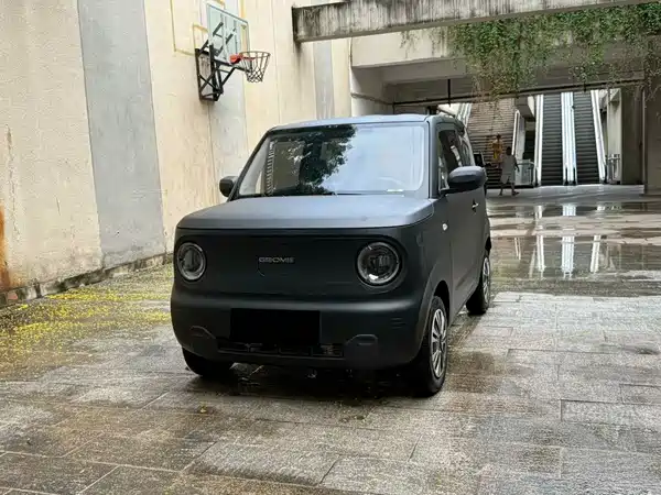 Geely Galaxy Panda 2023