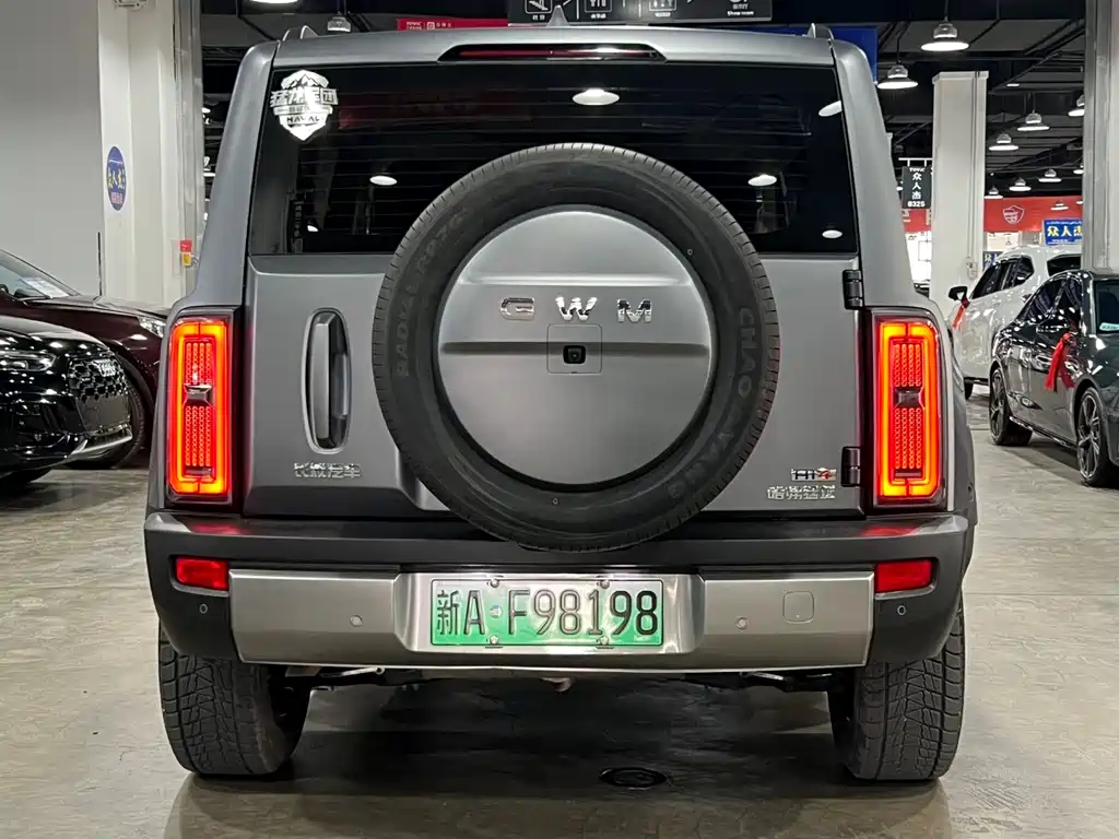 Haval Raptors New Energy 2025 — фото 4