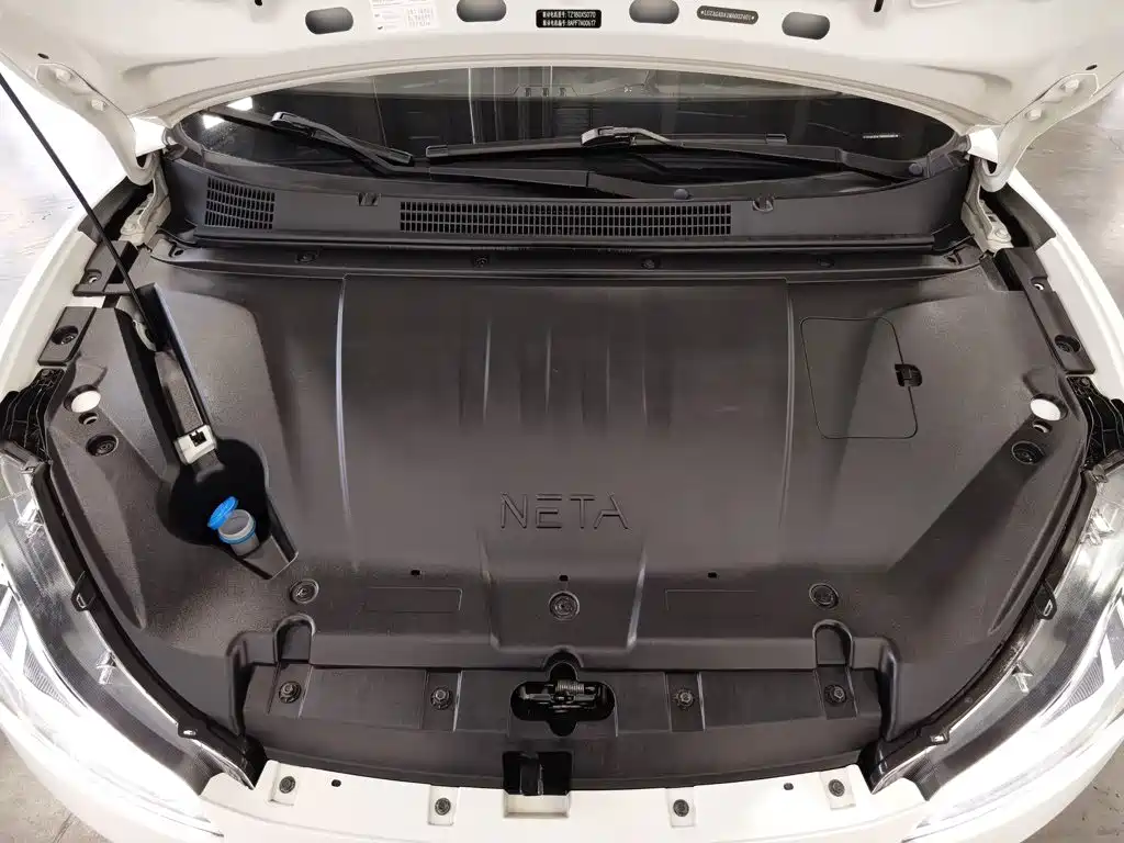 Neta V 2021