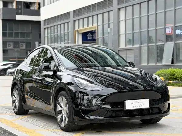 Tesla Model Y 2021