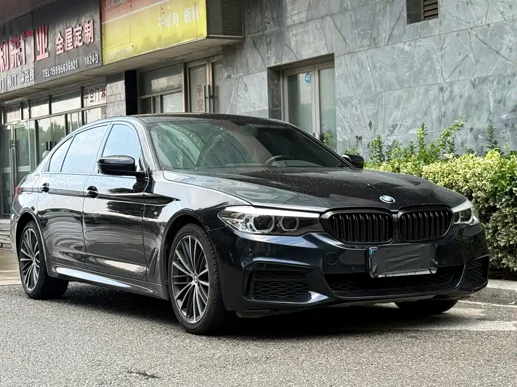 BMW 5 Series 2019