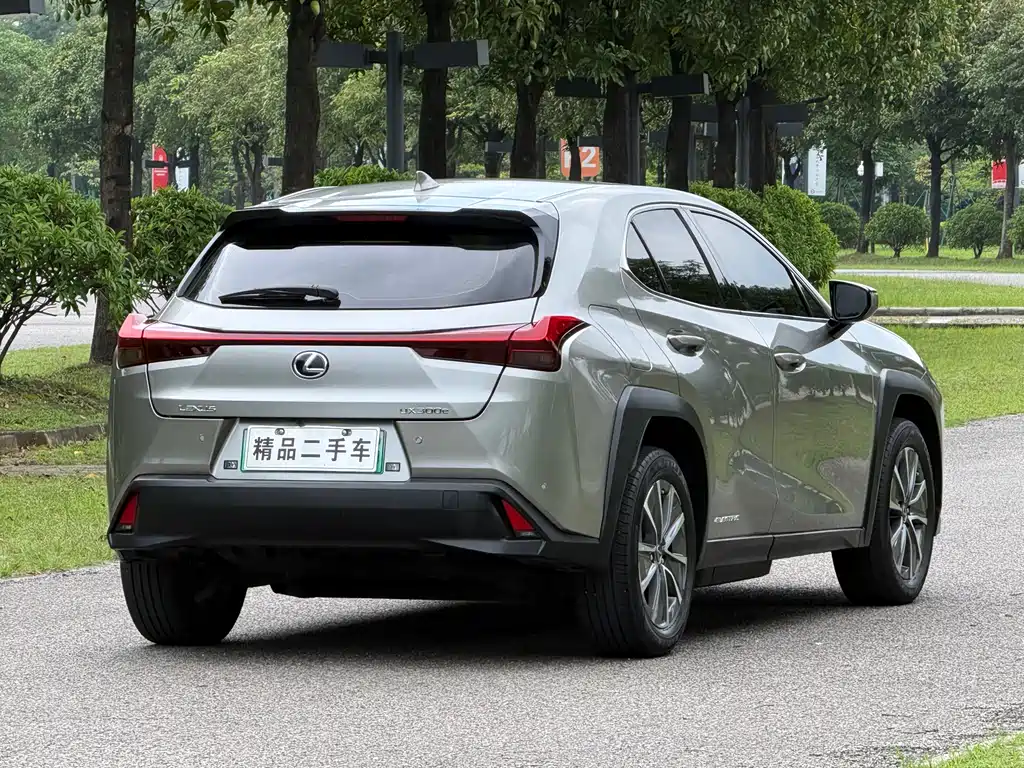 Lexus UX New Energy 2020 — фото 6