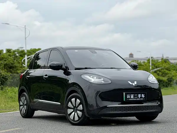 Wuling Bingo 2023