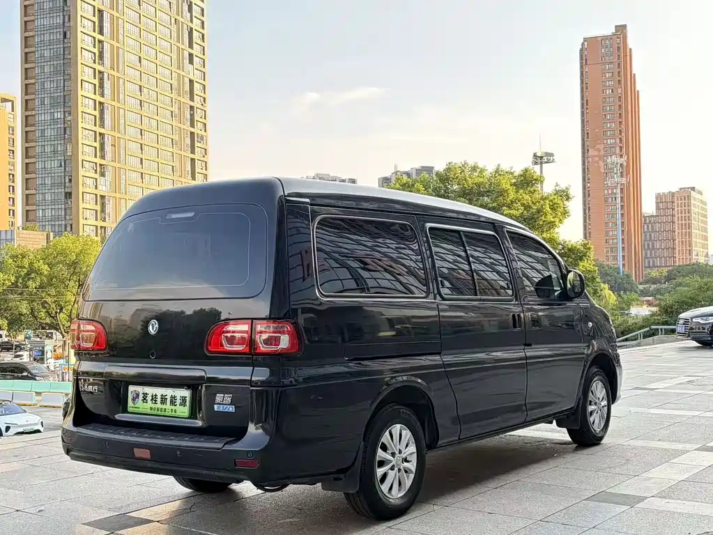 Dongfeng Lingzhi New Energy 2021