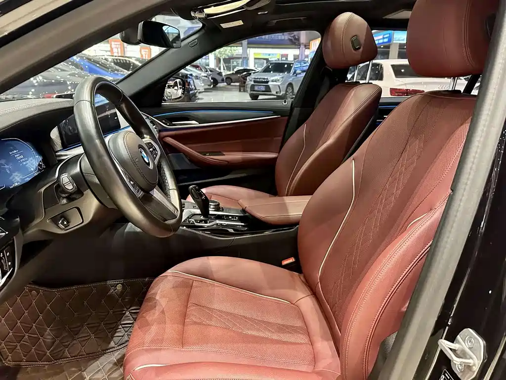 BMW 5 Series New Energy 2021