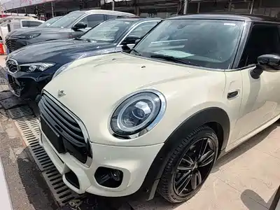 MINI MINI 2021