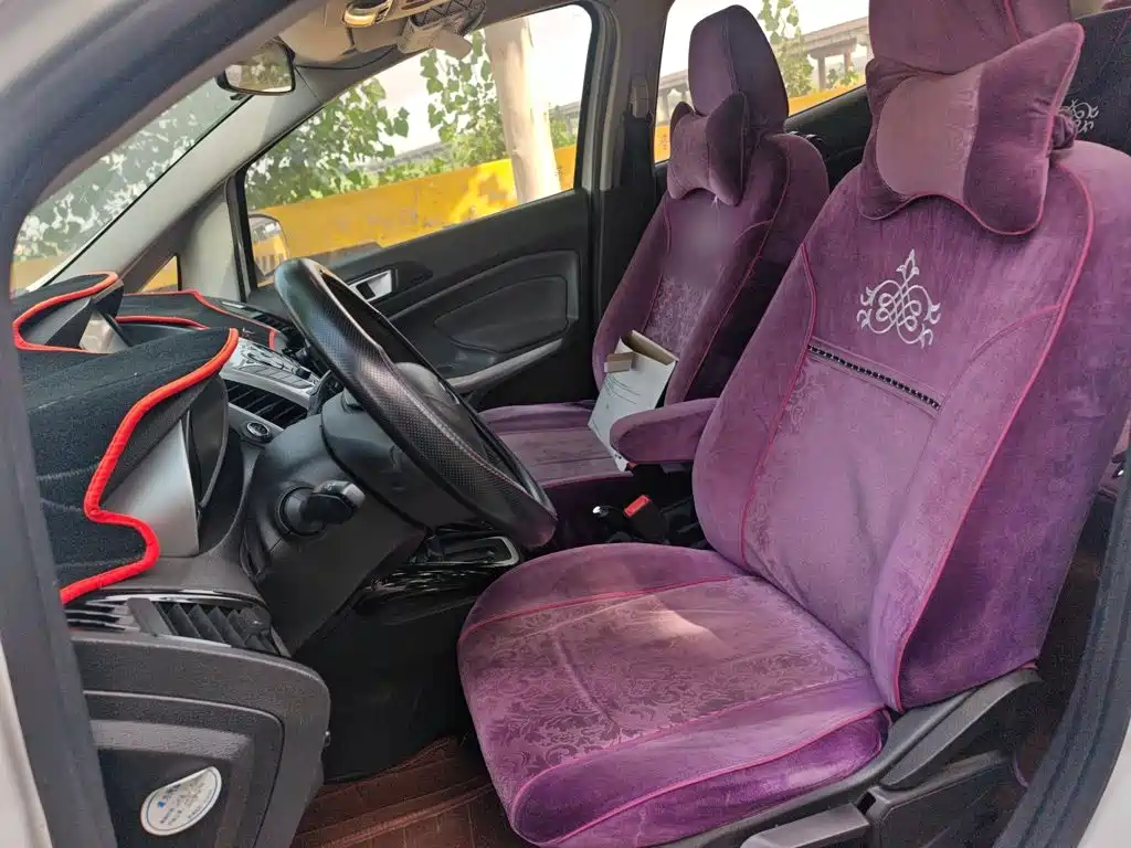 Ford Ecosport 2014 — фото 11