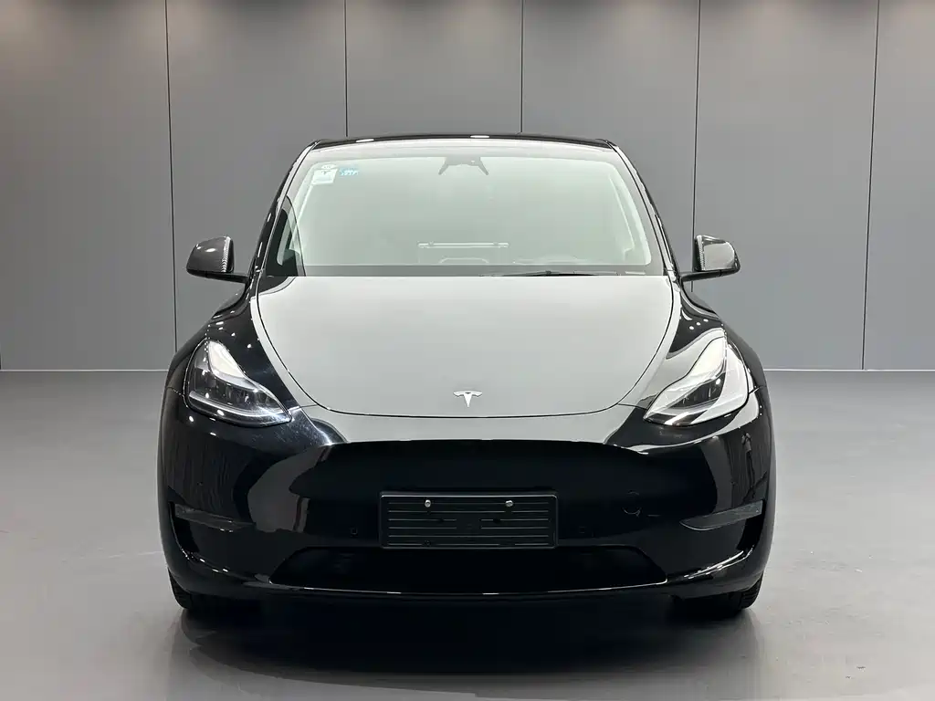Tesla Model Y 2023 — фото 2