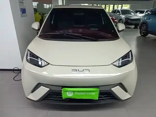 BYD Seagull 2025