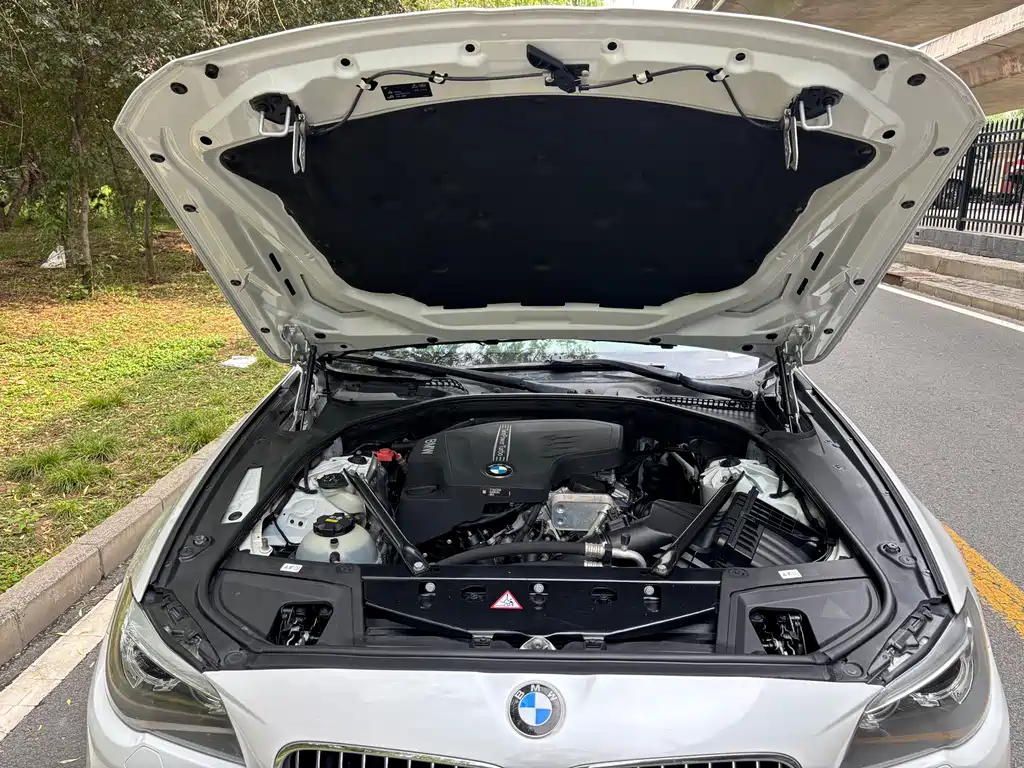 BMW 5 Series 2017 — фото 15