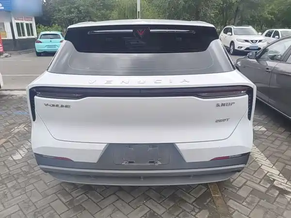 Venucia Big V 2021