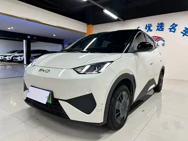 BYD Seagull 2025