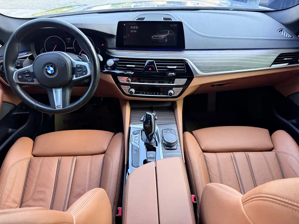 BMW 5 Series 2019 — фото 8