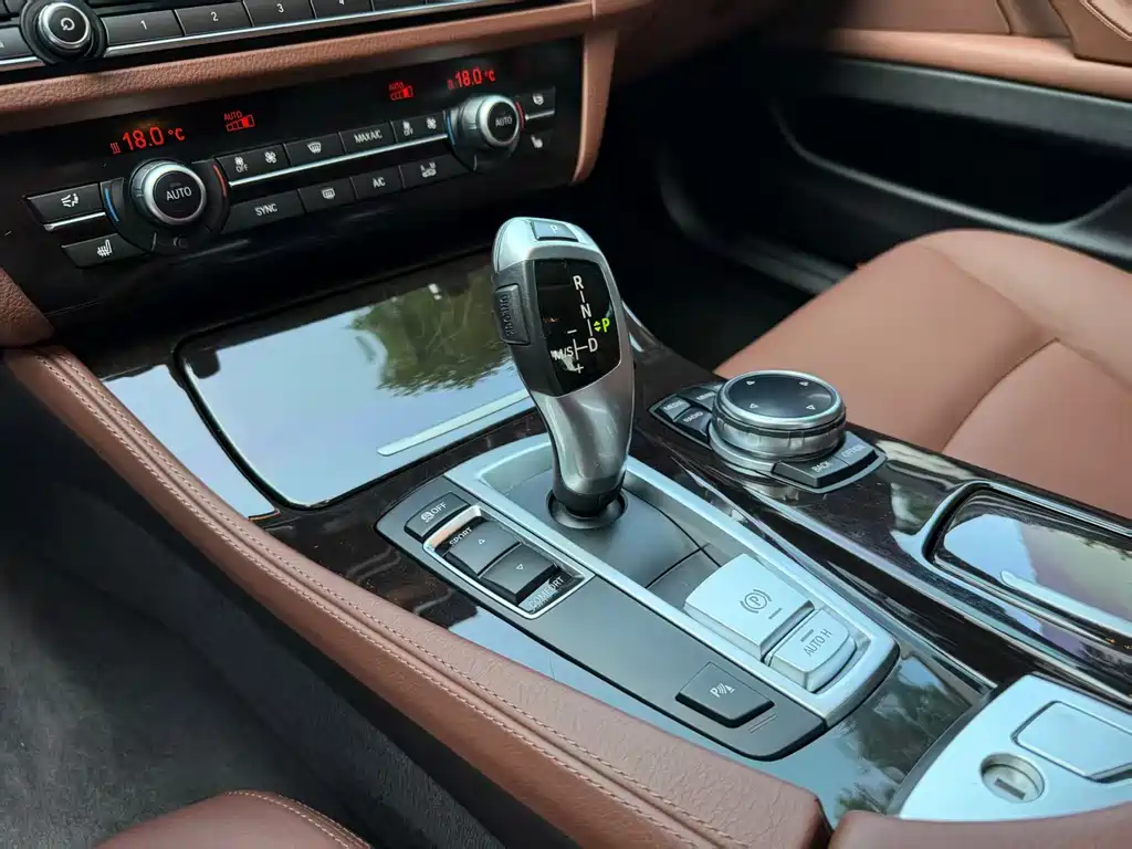 BMW 5 Series 2015