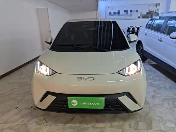 BYD Seagull 2025