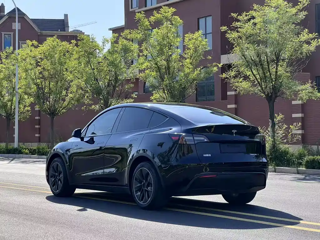 Tesla Model Y 2021 — фото 15