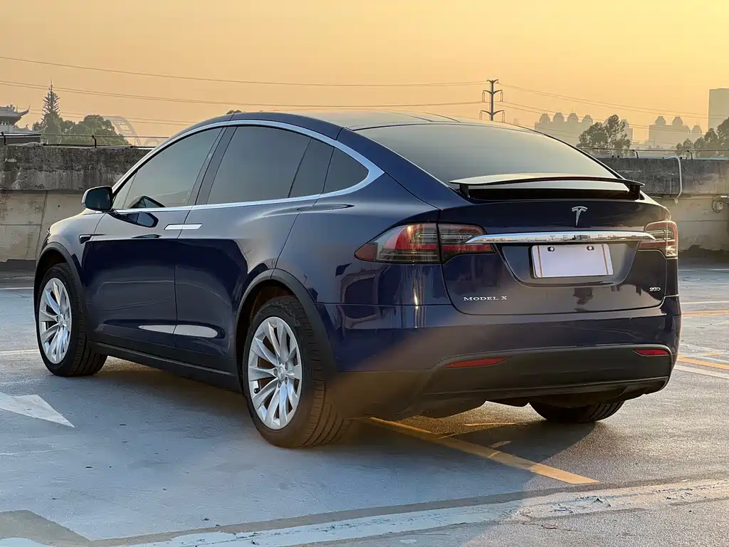 Tesla Model X 2017 — фото 4