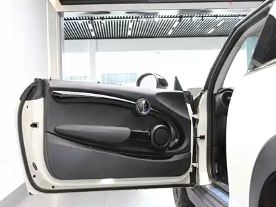 MINI MINI 2019