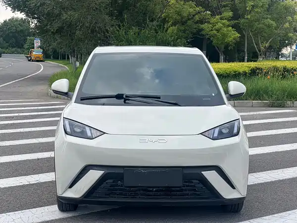 BYD Seagull 2024
