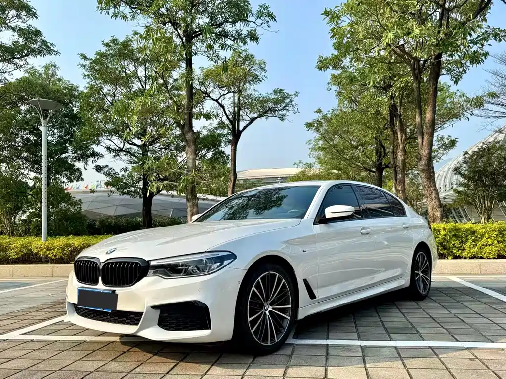 BMW 5 Series 2020 — фото 1