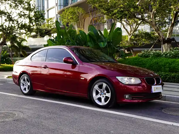 BMW 3 Series 2010