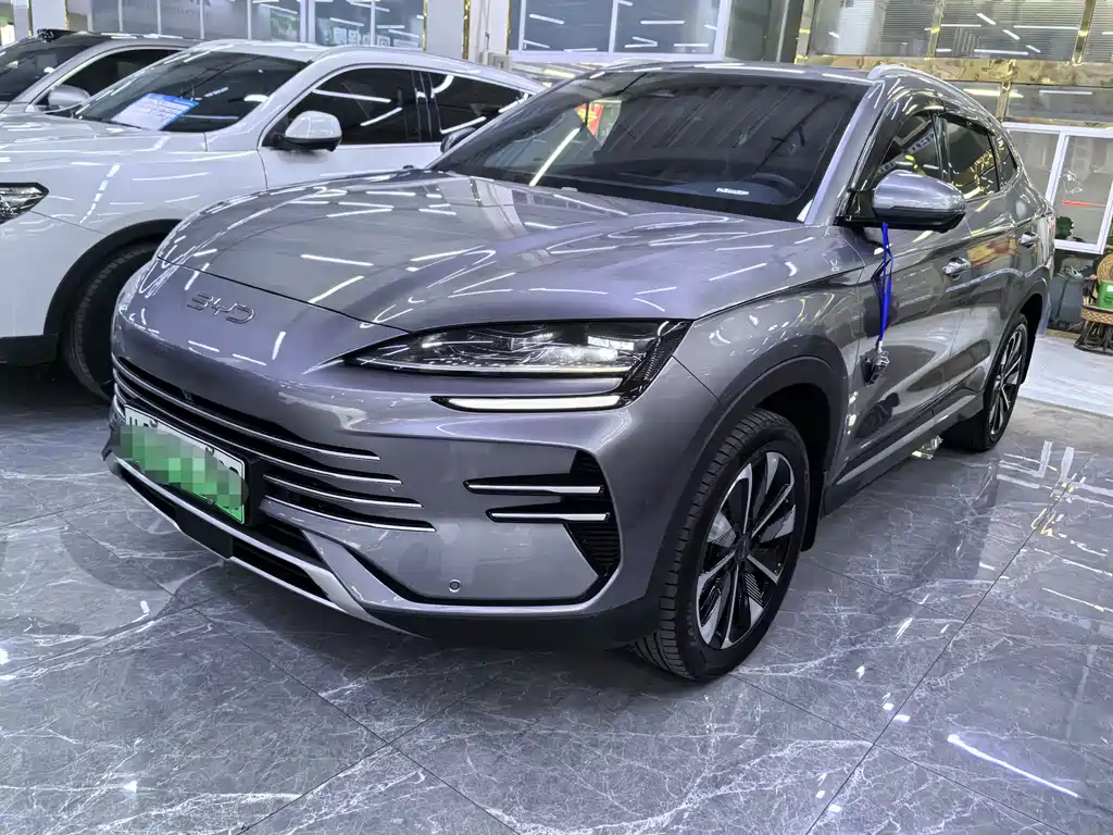 BYD PLUS New Energy 2024