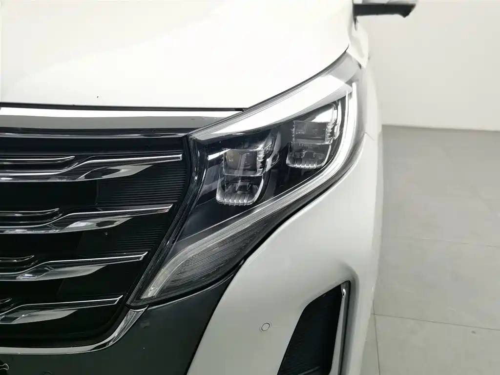 GAC Motor Trumpchi M8 2020 — фото 7
