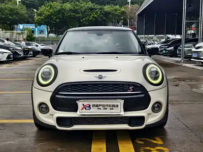 MINI MINI 2020
