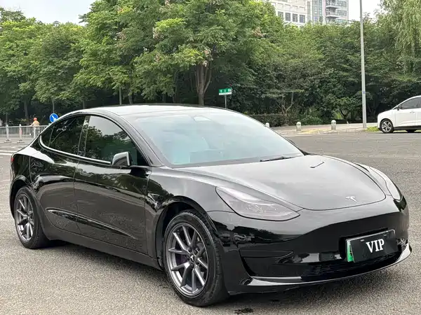 Tesla Model 3 2024