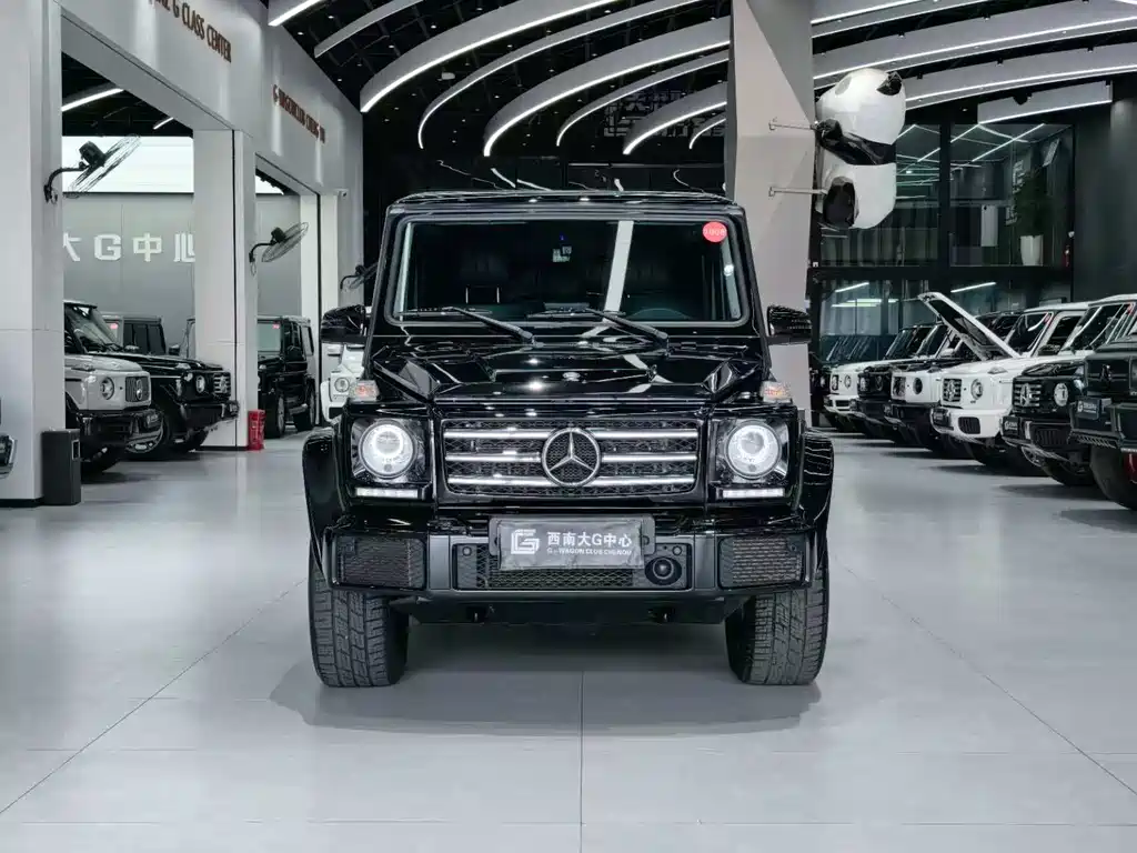 Mercedes-Benz G-Class 2016 — фото 2