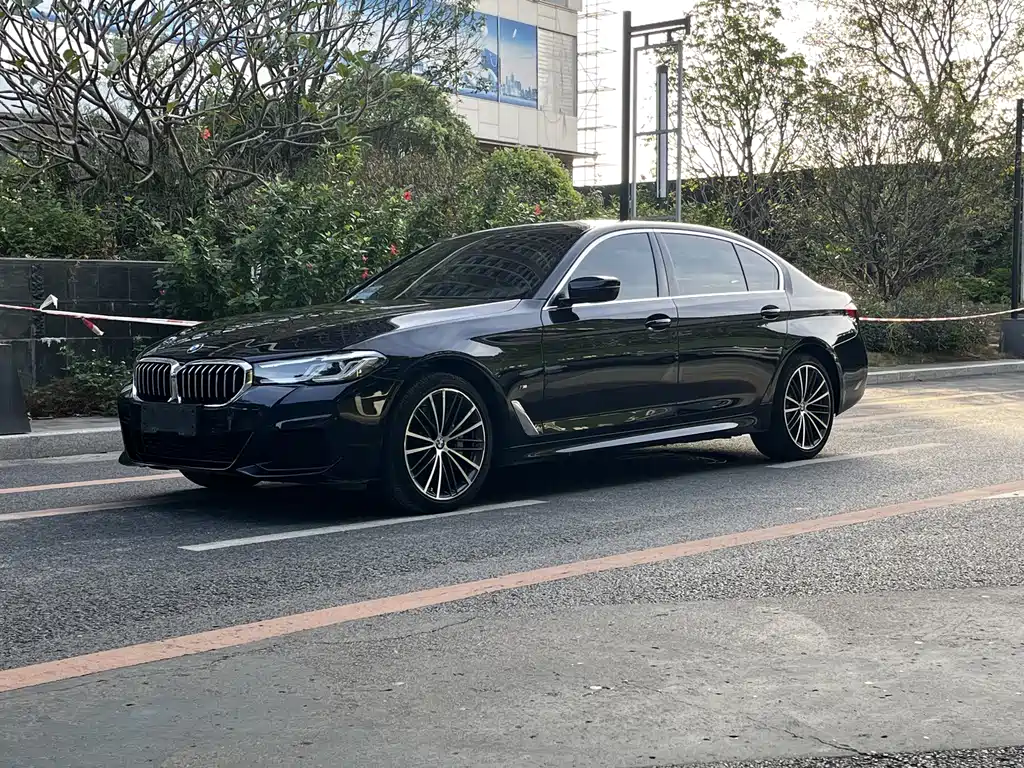 BMW 5 Series 2021