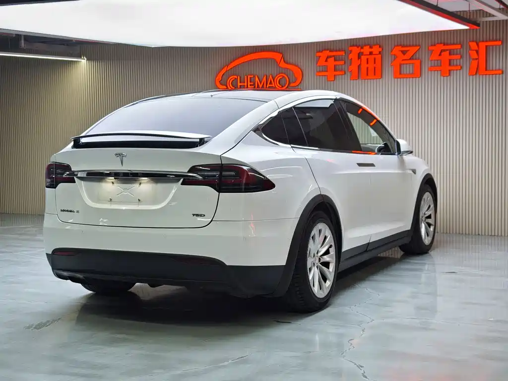 Tesla Model X 2017 — фото 14