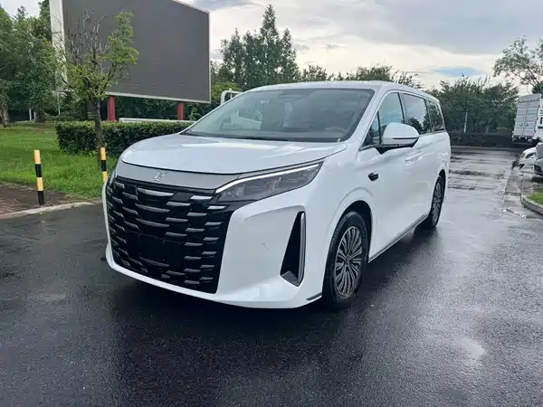 BYD Summer 2025
